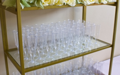 Bubbly with the Bride to Be